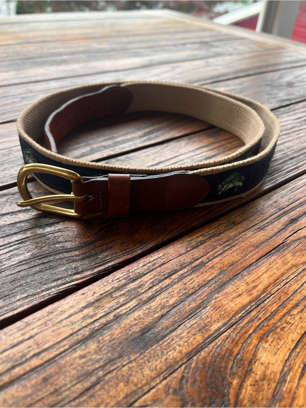 World Wide Sportsman Brown Leather-Trim Canvas Belt Embroidered Fish - Men XL